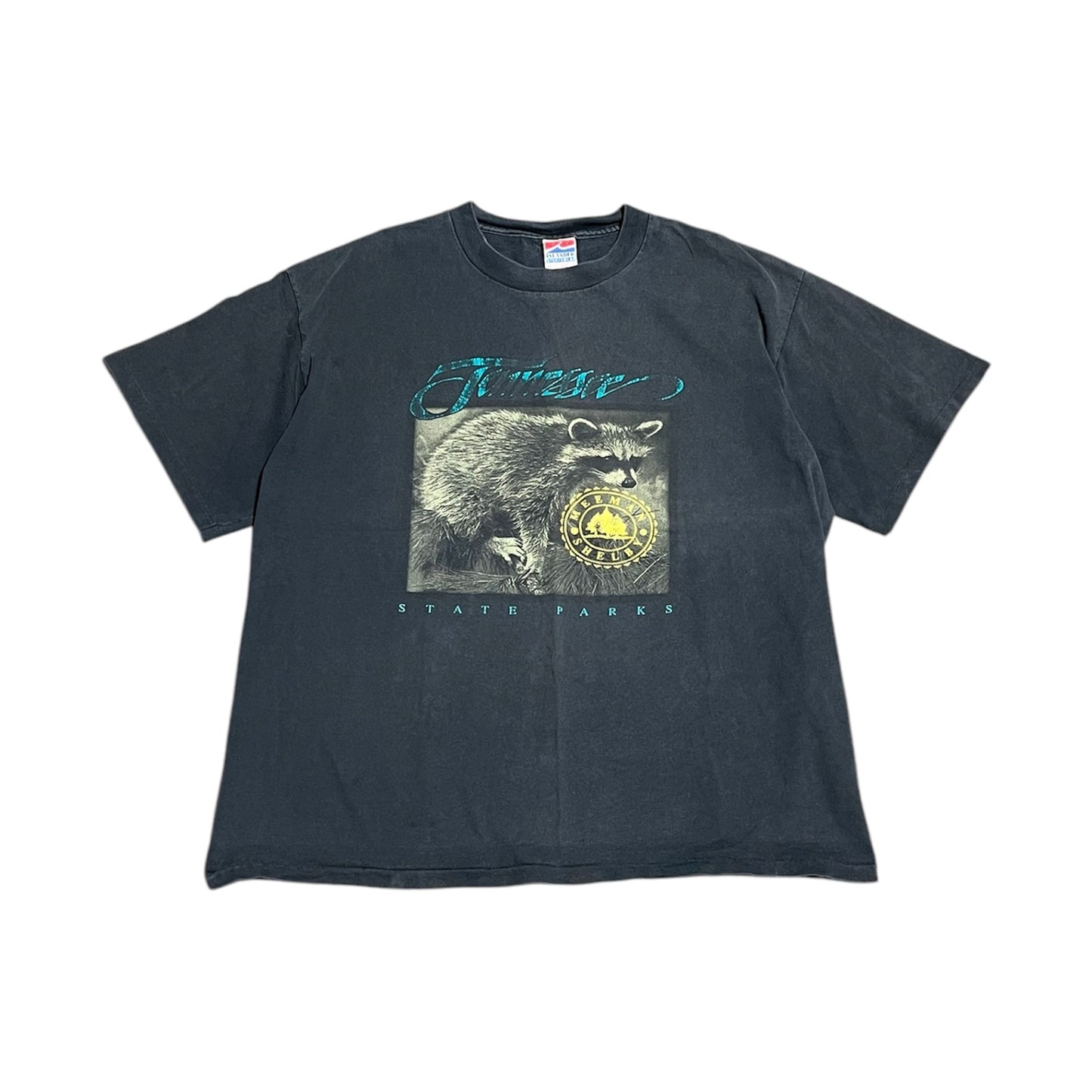 90s Tennessee State Park Raccoon Tee (XL)