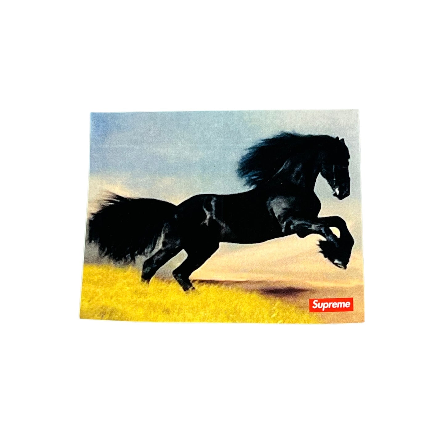 Supreme FW14 Stallion Sticker
