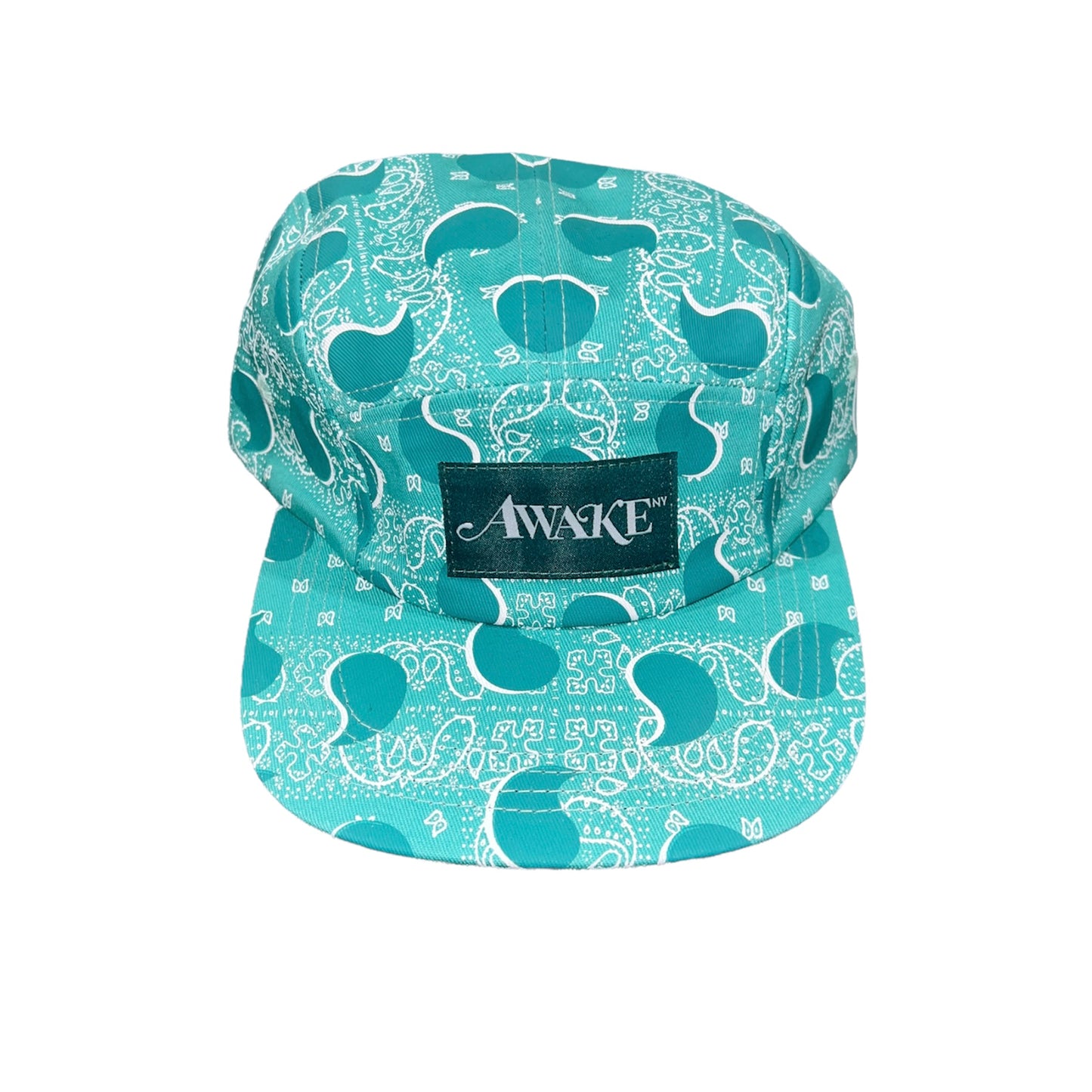 Awake NY Paisley Camp Cap