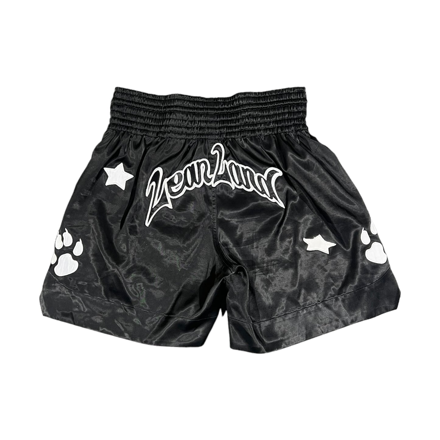 Yung Lean Leanland Shorts (Size L)