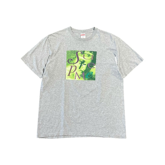 Supreme FW17 Venus Tee (M)