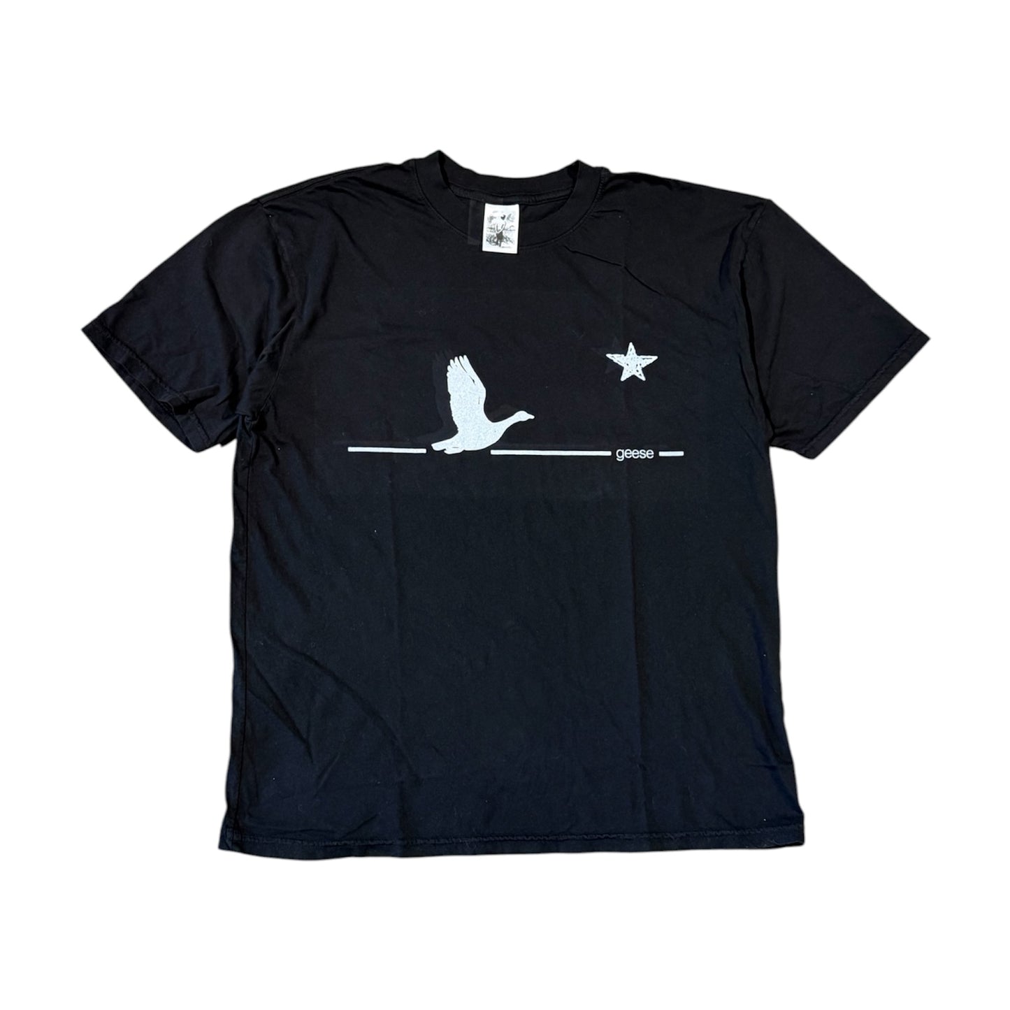 Basketcase Gallery / Geese Banner Tee (L)