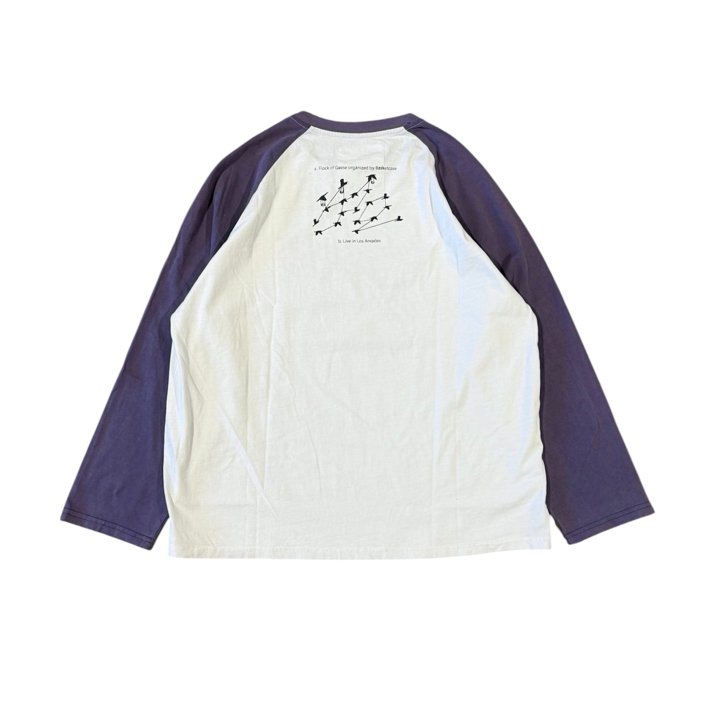Basketcase Gallery / Geese Raglan Top (L)