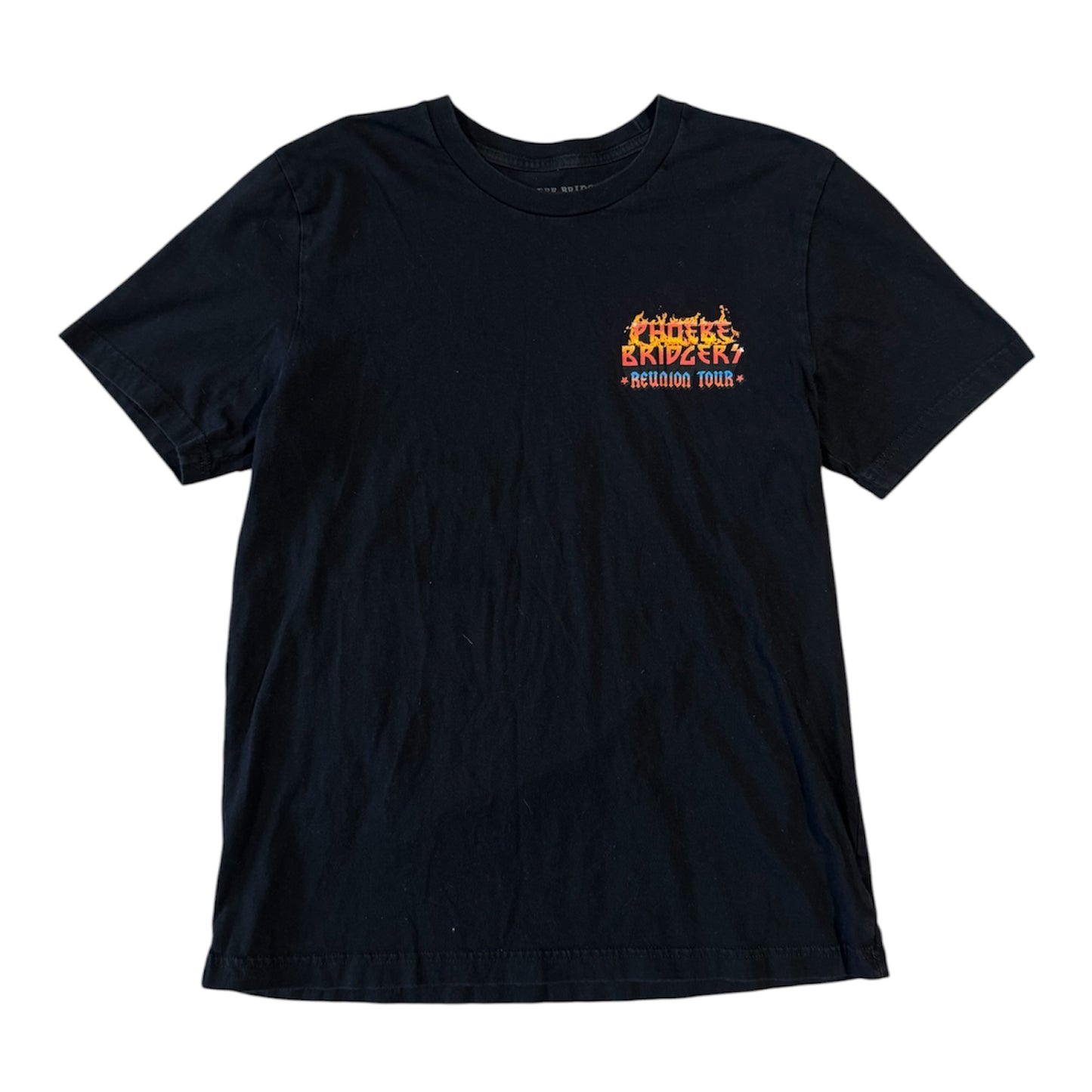 Phoebe Bridgers Reunion Tour Tee (L)
